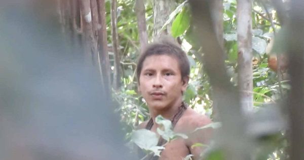 Foto: Un indígena Awá, en el momento de descubrir que está siendo grabado (Foto: Survival International)