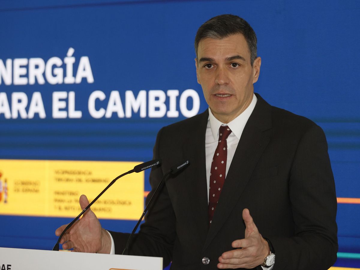 Foto: El presidente del Gobierno, Pedro Sánchez, durante su intervención en la visita a la feria Genera. (EFE Mariscal) 