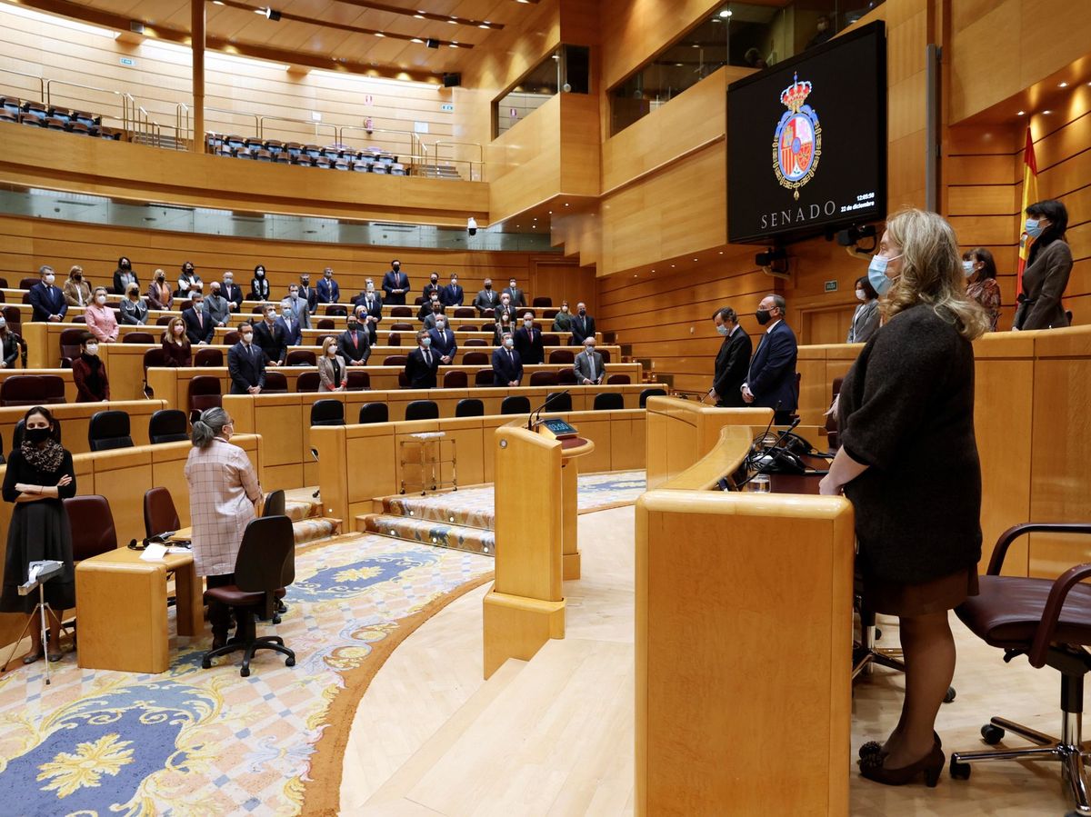 Foto: Minuto de silencio al inicio del pleno celebrado este martes en el Senado. (EFE) 