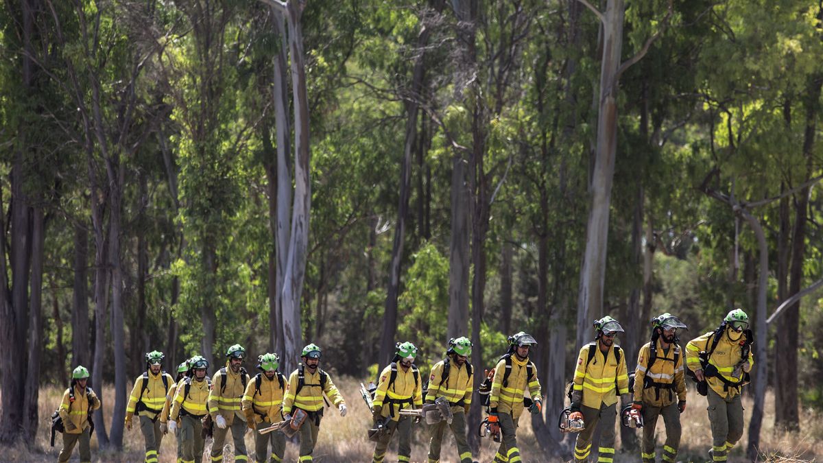 Ofensiva judicial de los bomberos forestales andaluces para mejorar sus condiciones laborales