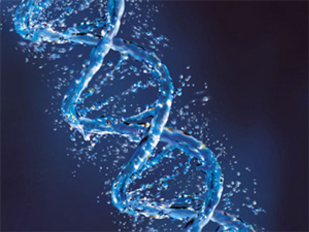 Foto: El mapa genético de Venter muestra que el ADN aún es un misterio