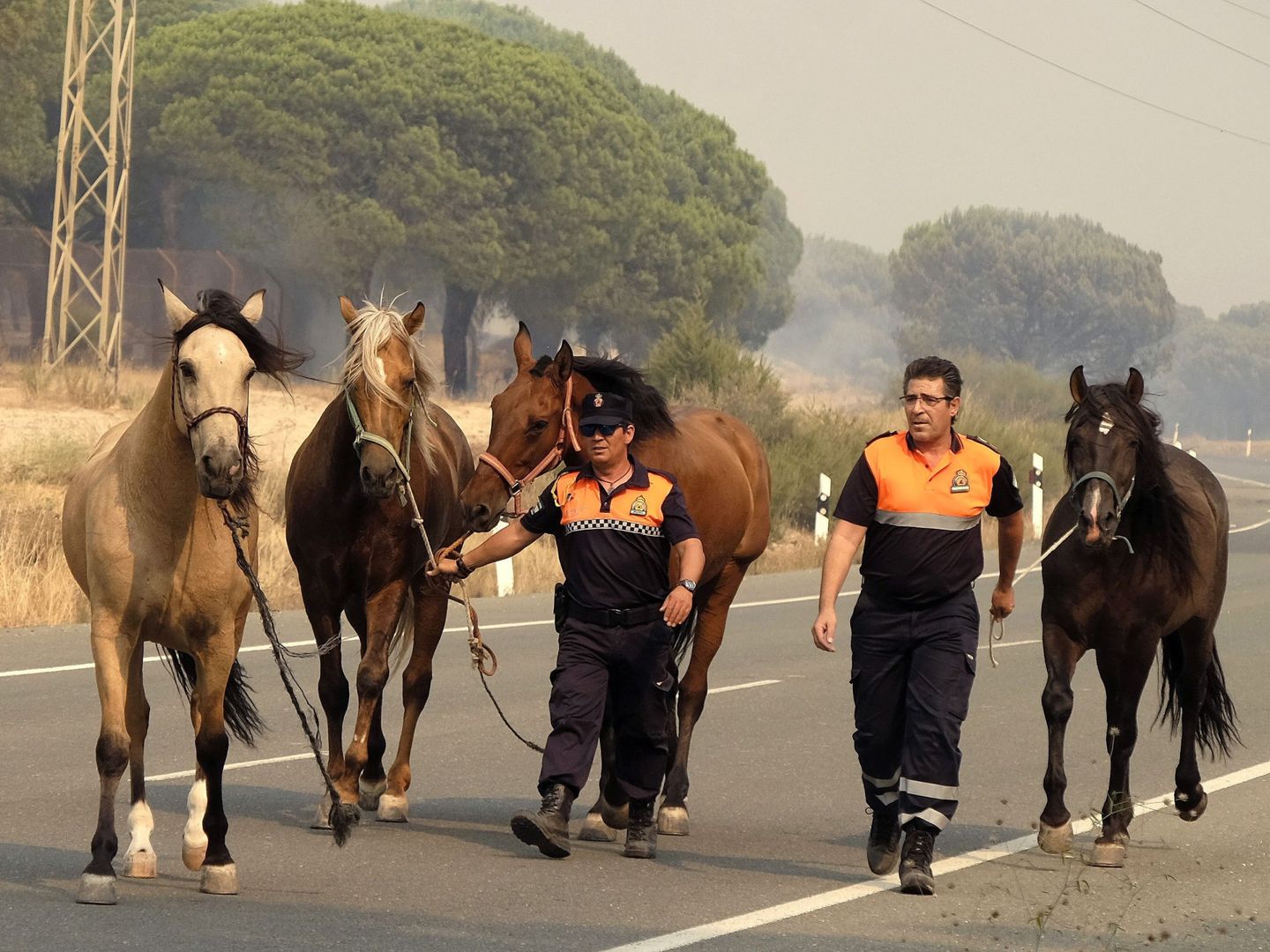 Dos operarios rescatan a varios caballos de las llamas en el incendio de 2017 de Doñana. (EFE/Julián Pérez)