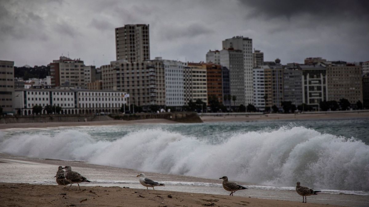 La Aemet avisa de la borrasca Patricia en España: vientos, frío y bajada de temperaturas