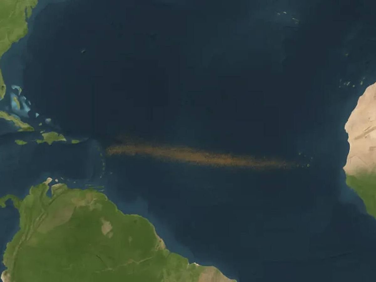 Satélite da NASA detecta mancha de algas que atinge costa dos Estados Unidos e Caribe