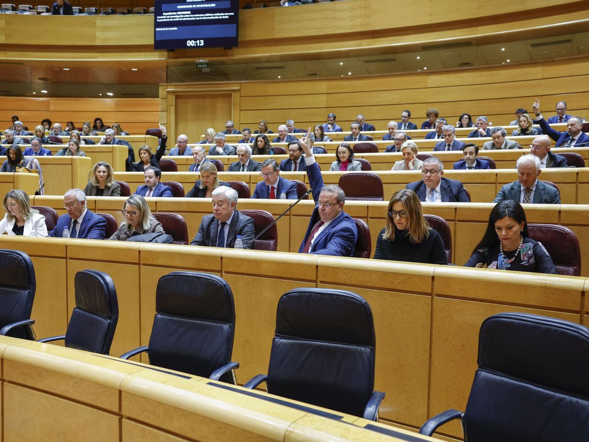 Foto: Momento de la sesión en el Senado. (EFE/Mariscal)