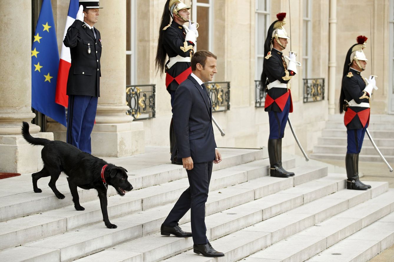 Nemo acompaña a Macron en los actos oficiales (EFE) 