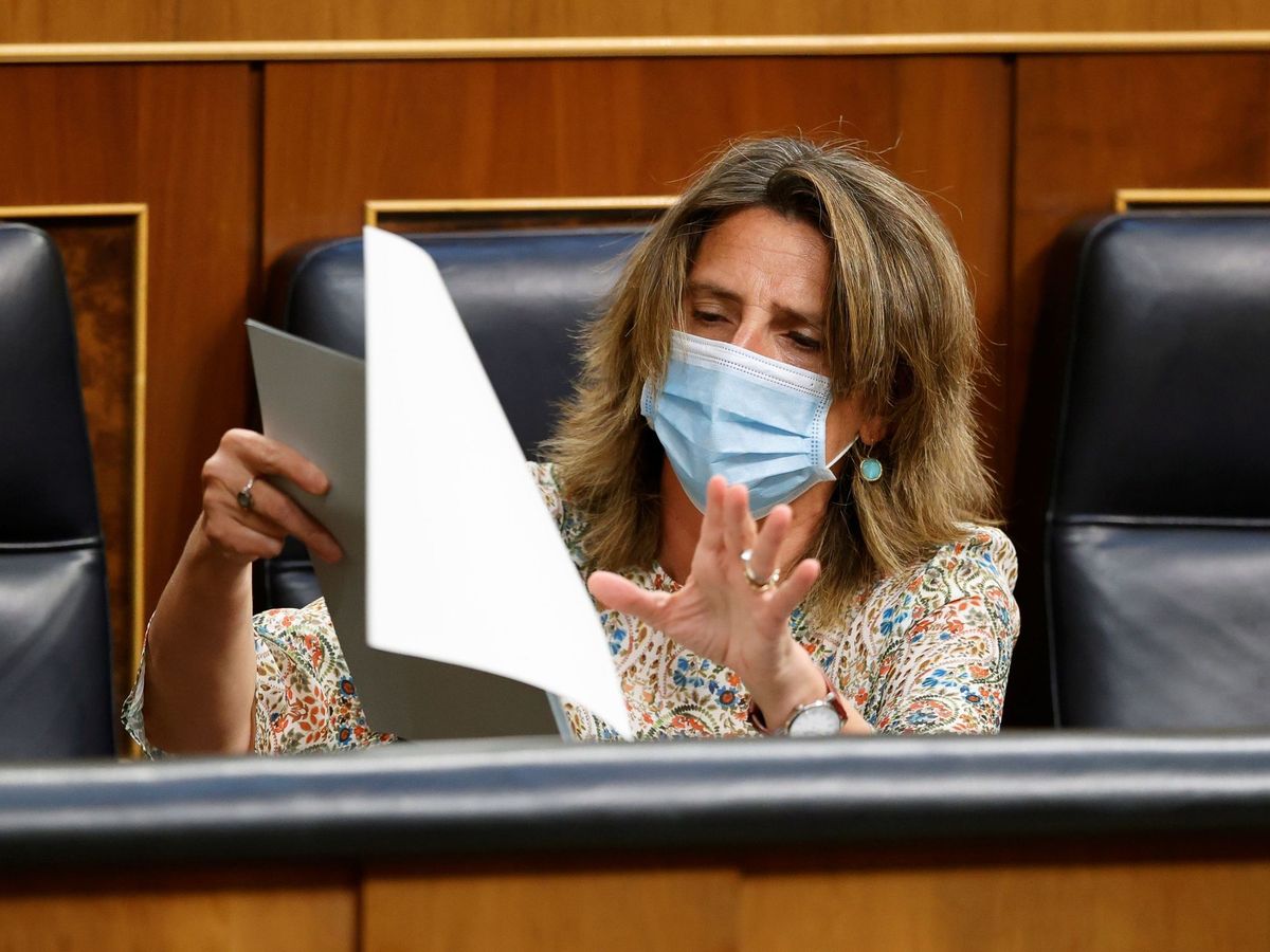 Foto: La vicepresidenta cuarta del Gobierno, Teresa Ribera, en una sesión plenaria del Congreso de los Diputados. (EFE)