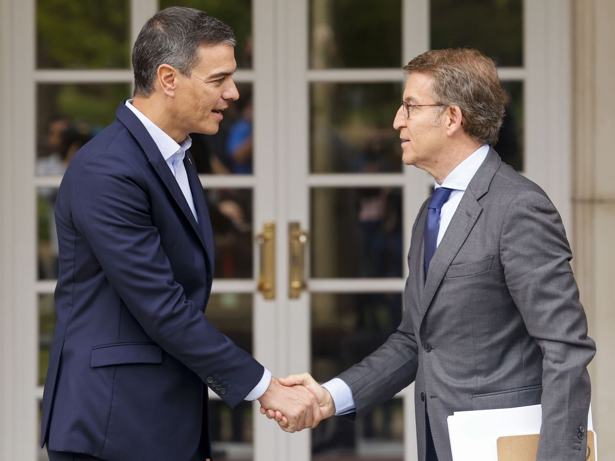 Foto: El presidente del Gobierno, Pedro Sánchez (d), y el líder de la oposición, Alberto Núñez Feijóo. (EFE/Sergio Pérez)