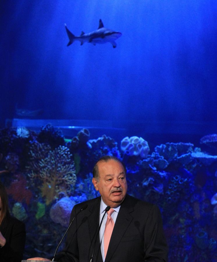 Foto: El magnate mexicano Carlos Slim en el Acuario Inbursa, donde tiburones, tortugas, pirañas y medusas figuran entre los 5.000 ejemplares marinos. (EFE)