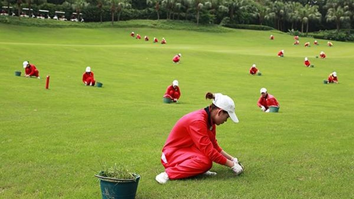El Partido Comunista chino prohíbe las comilonas, el adulterio y jugar al golf