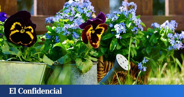 CELOSÍAS DE MADERA – Tu marca de Jardín, Cultivo y Decoración