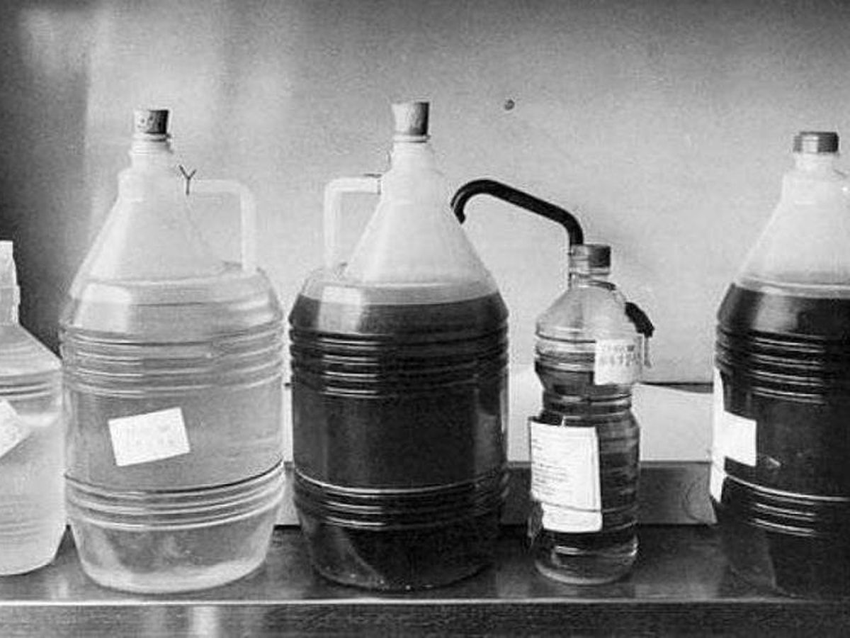 Foto: Algunas de las garrafas contenedoras de aceite adulterado. 