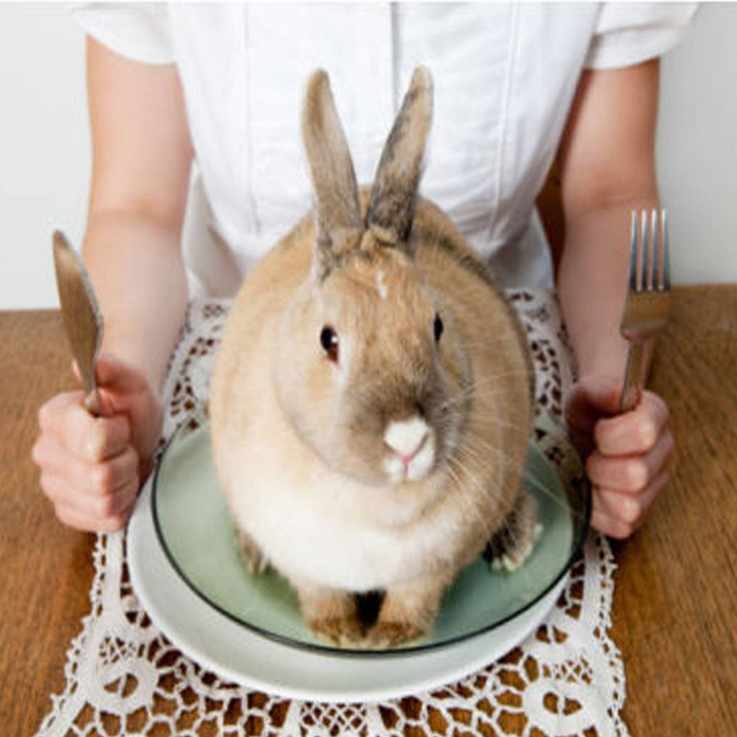 Más de uno no come conejo porque lo asocia a un animal de compañía.