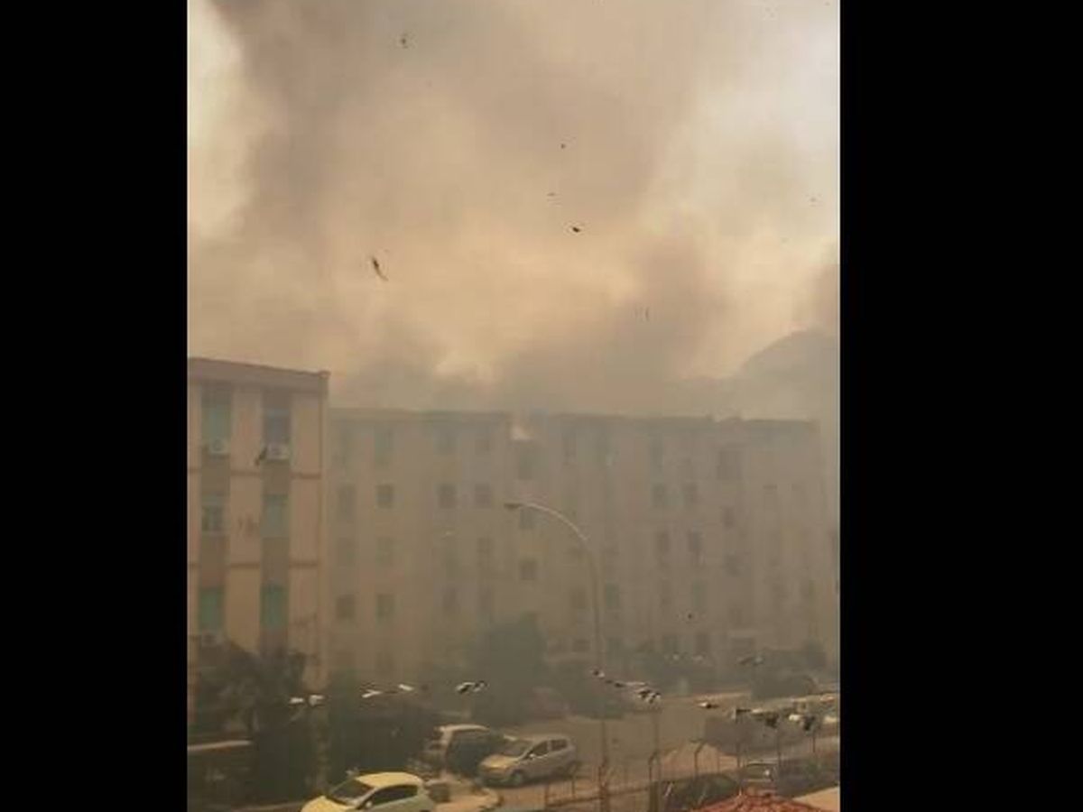 Foto: Así son las demoledoras imágenes de Palermo en llamas durante los incendios: "No podemos respirar". (Twitter)
