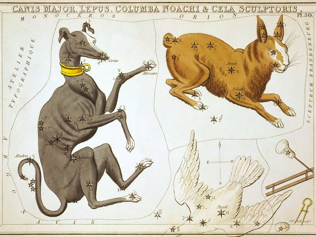 Foto: Ilustración de la constelación Canis Major para la colección de Urania's Mirror, un conjunto de cartas de constelaciones publicadas en Londres hacia 1825. Junto a ella están las constelaciones Lepus y Columba. (Wikimedia)