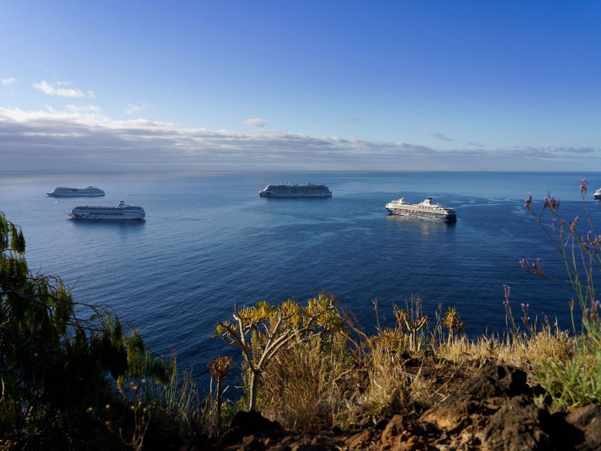 Foto: Cruceros turísticos fondeados en la bahía de Santa Cruz de Tenerife. (EFE/Ramón de la Rocha)