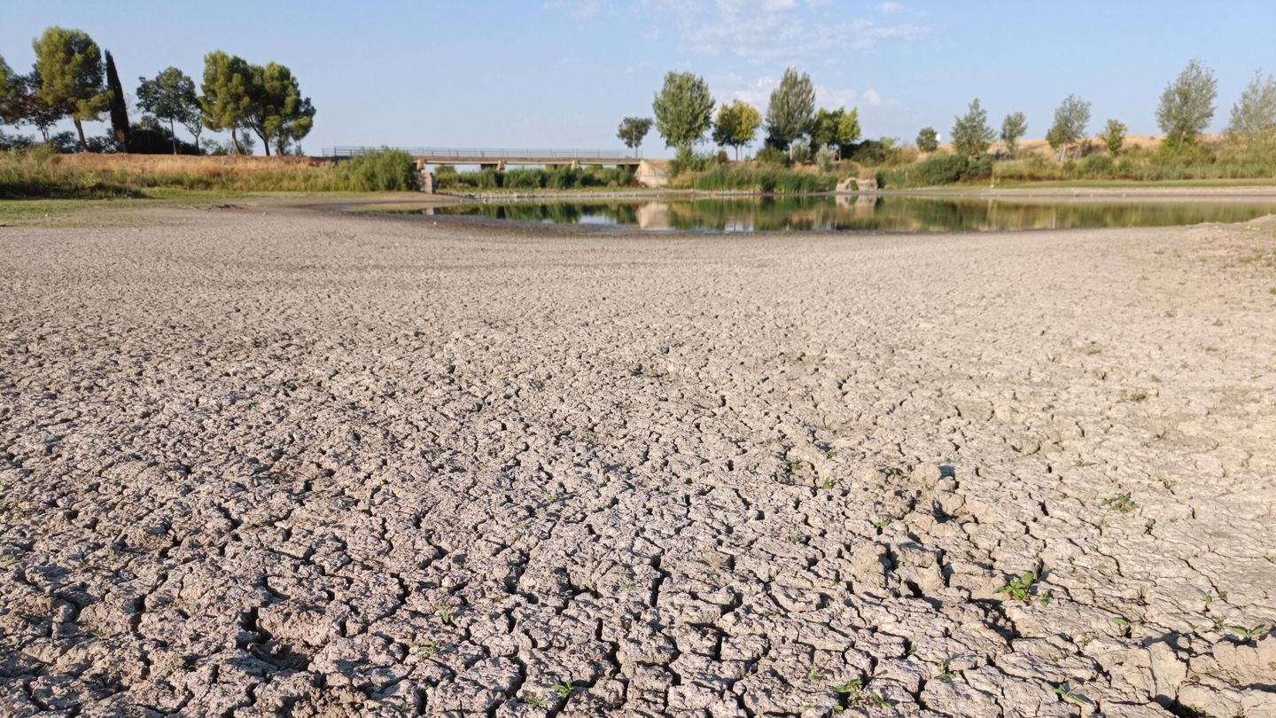 Europa se enfrenta a la peor sequía de los últimos 500 años. (EFE/Beldad) 