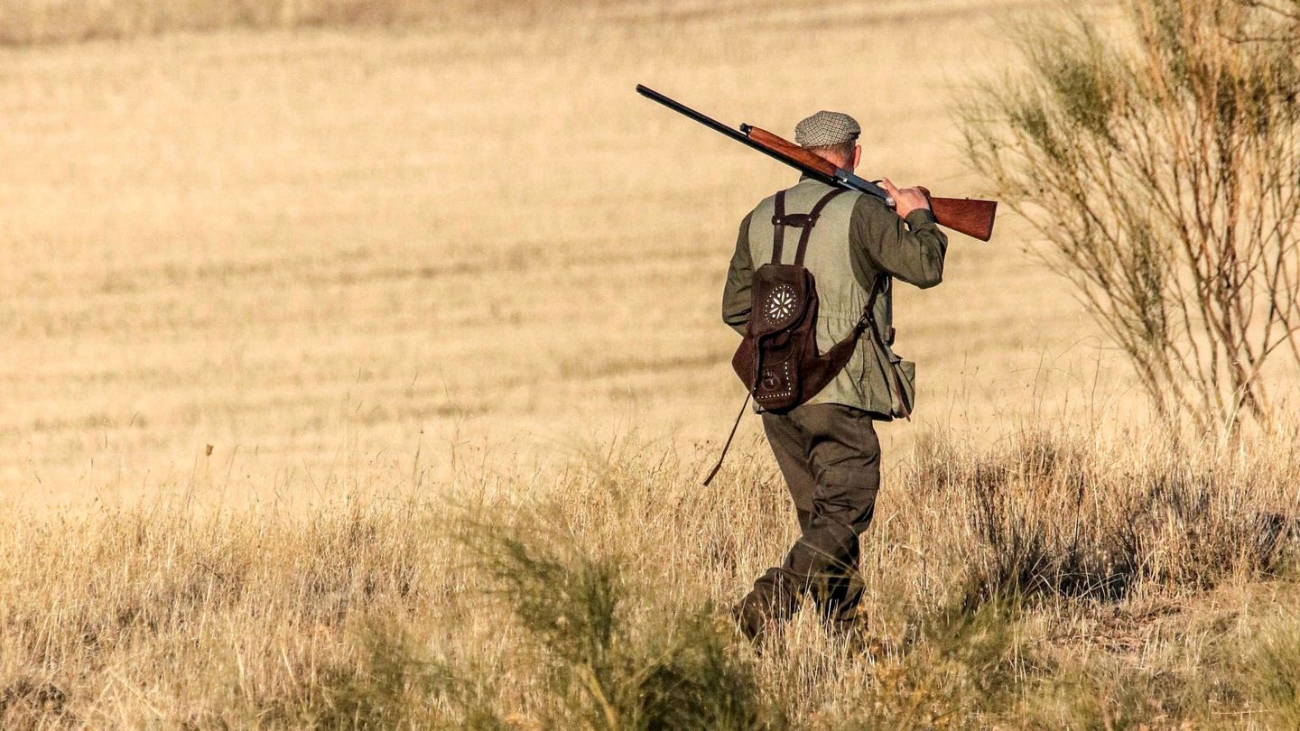 Un cazador pasea por una finca de Castilla-La Mancha. (EFE/Mariano Cieza)