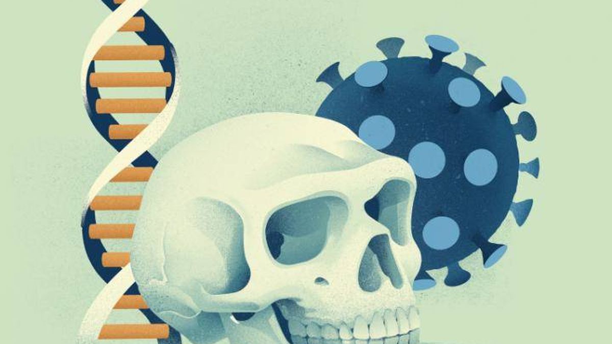 Los genes que reducen un 22% el riesgo de covid grave y se heredan de los neandertales