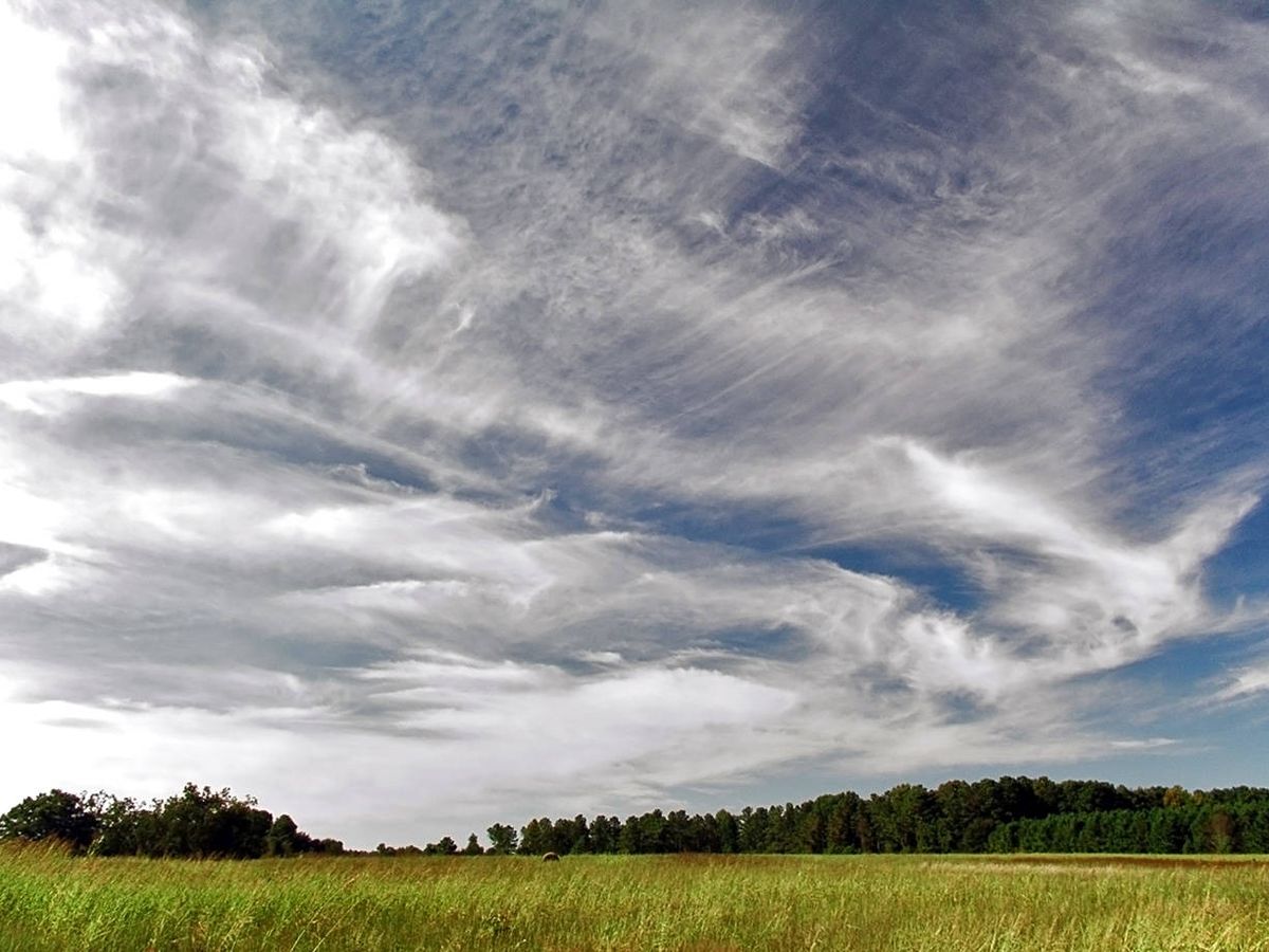 Foto: Una nube de tipo cirro. (Wikipedia)
