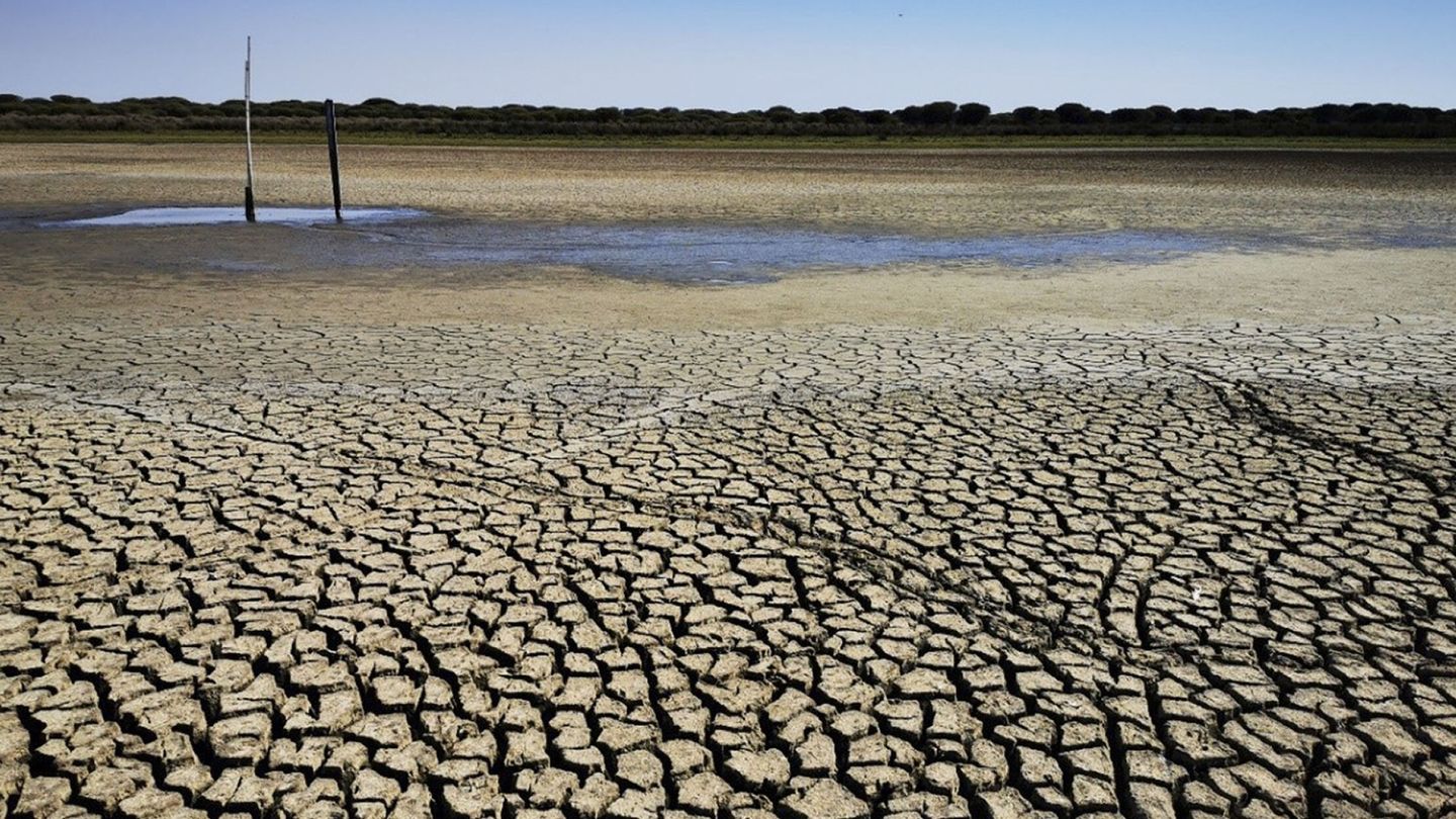 Sequía en Doñana. (EFE)