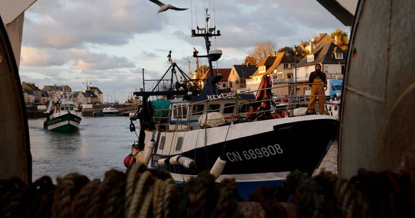 Foto: Pesqueros franceses regresan al Port-en-Bessin-Huppain tras pescar vieiras en el Canal de la Mancha. (Reuters)