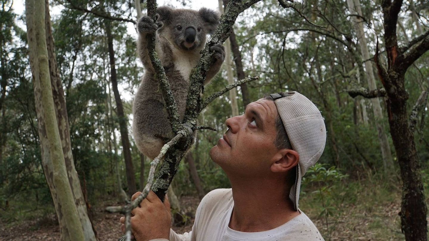 Frank Cuesta ´con un koala en la séptima temporada de 'Wild Frank' (Discovery)
