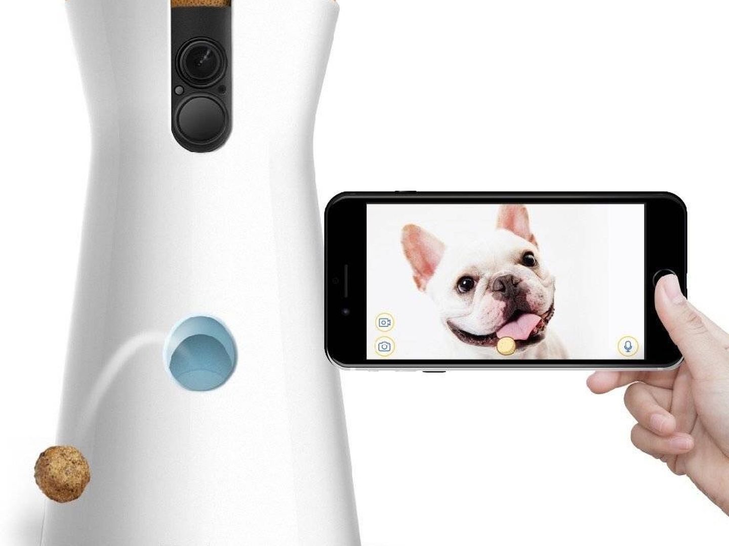 Una cámara para tener vigilada y entretenida a tu mascota. (Foto: Furbo)