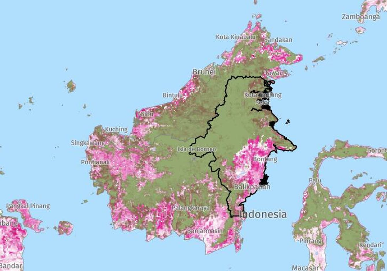 Nivel de deforestación en Borneo (en rosa, el área talada). (Global Forest Watch)
