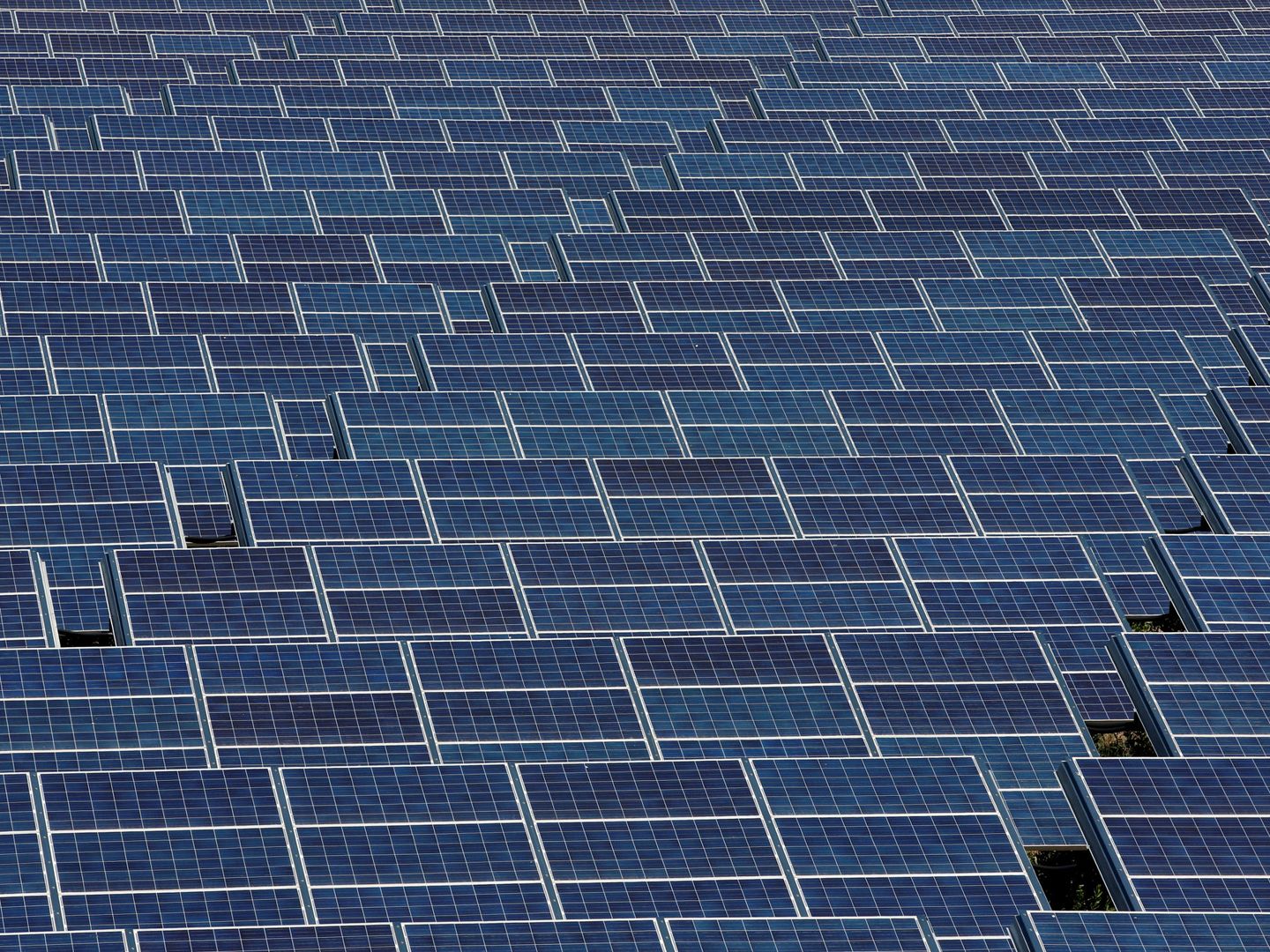 Las placas solares son una de las mejores alternativas renovables. Foto: Reuters