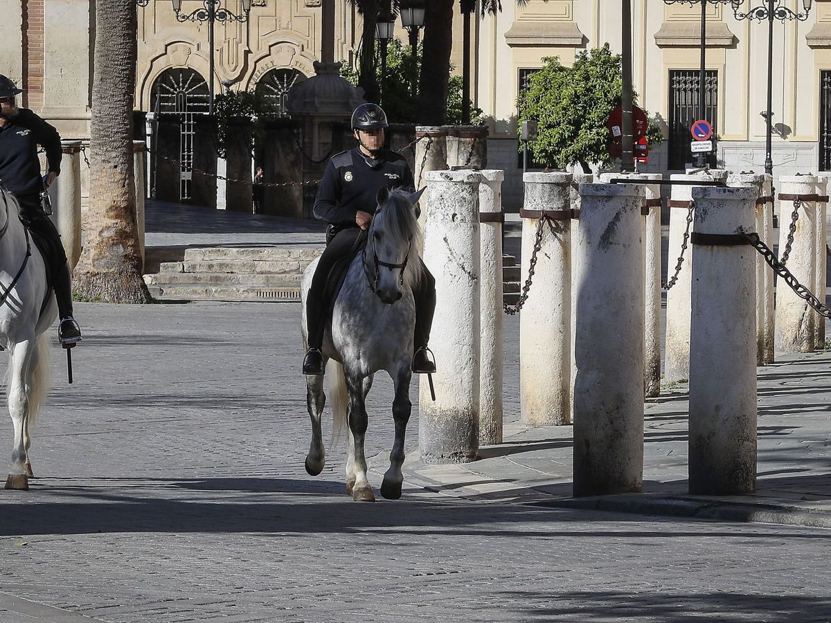 Foto: Agentes de la Policía Nacional a caballo patrullando junto a la Catedral de Sevilla (EFE)