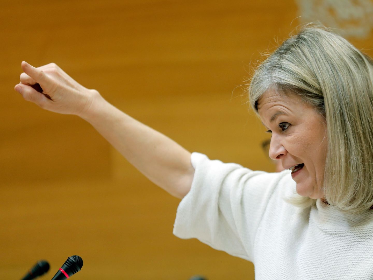 La 'consellera' de Justicia de la Generalitat, Gabriela Bravo. (EFE)