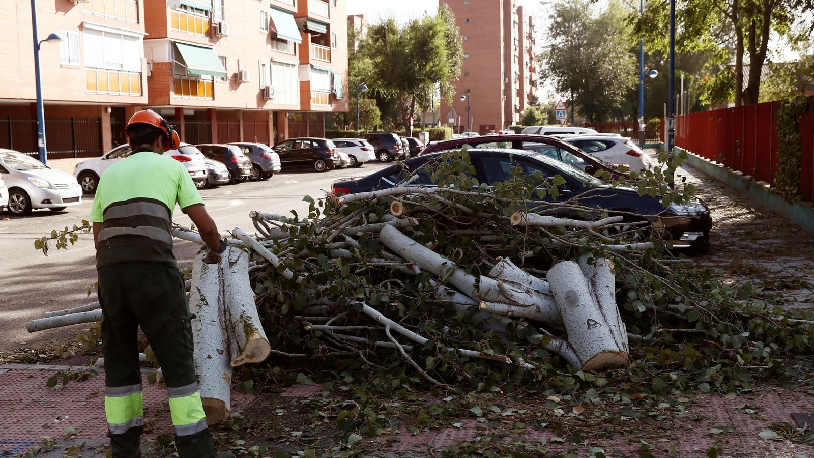 Foto: Árbol caido por la tormenta de ayer en Leganés (EFE)