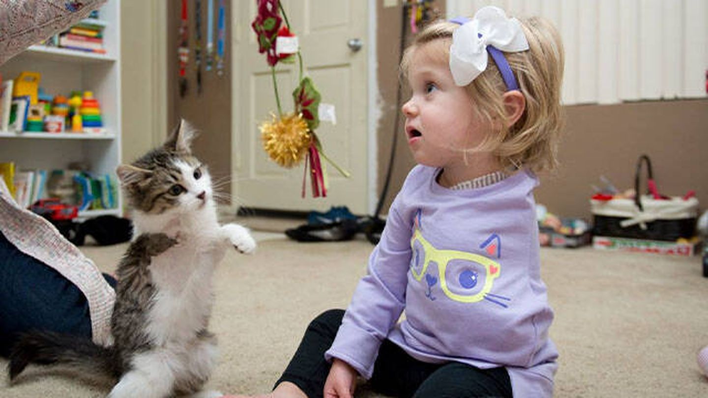 La pequeña Scarlette y su gatito Doc (Petstv.net)