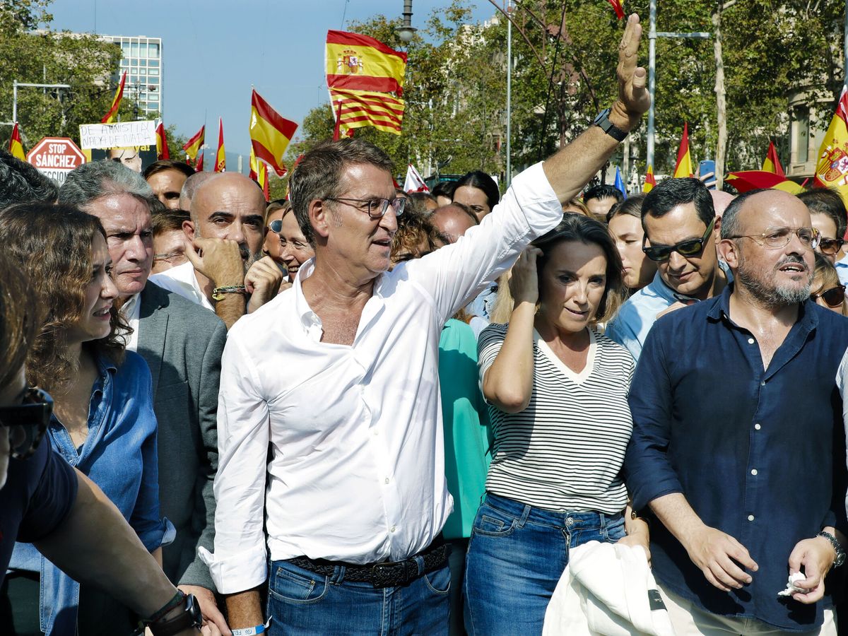 Foto: El líder del PP, Alberto Núñez Feijóo (c), en la manifestación contra la amnistía convocada por SCC en Barcelona (EFE/Andreu Dalmau)