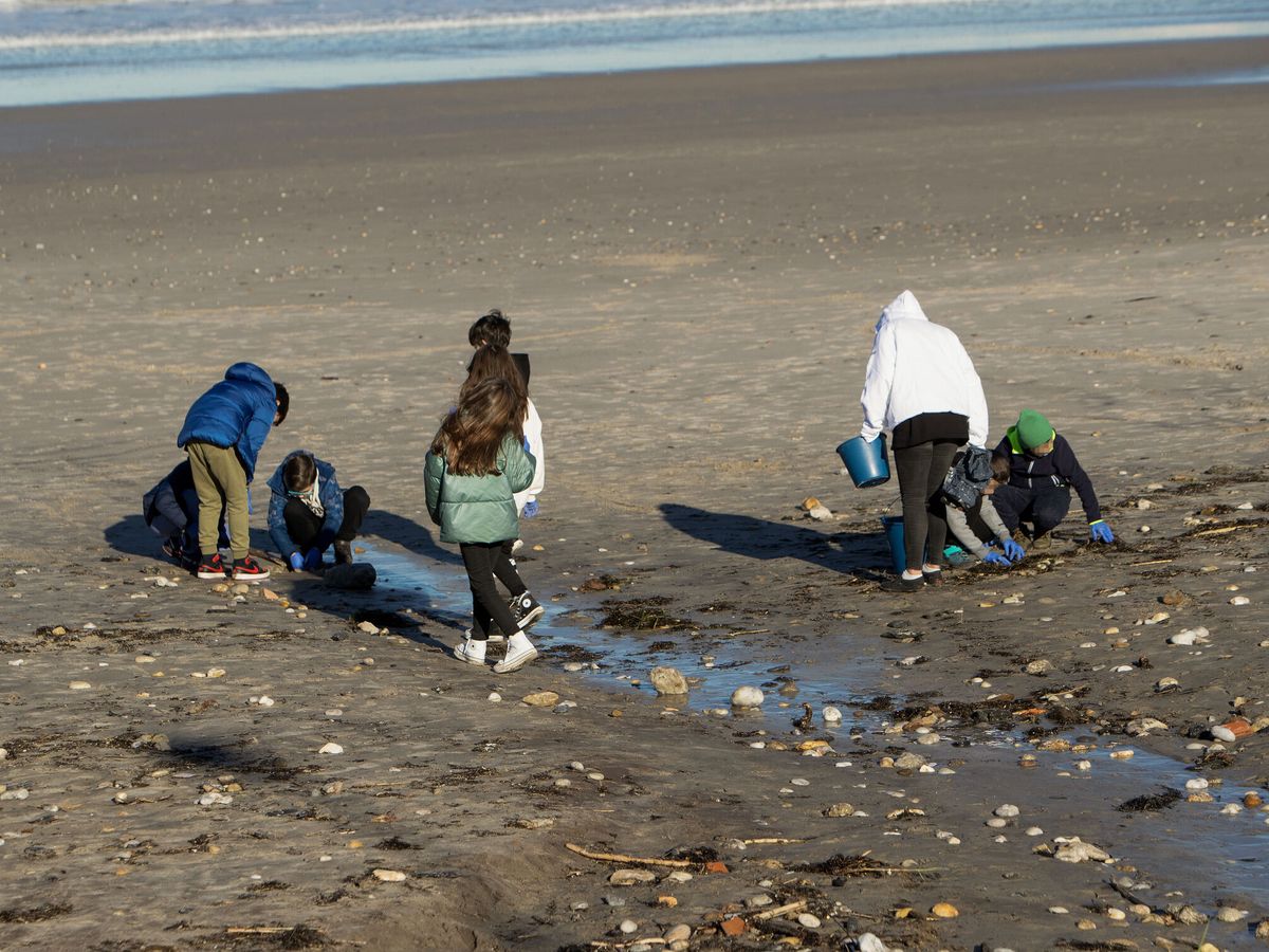 Foto: Chicos retirando microplásticos en una playa de Nigrán. (EFE/Salvador Sas)