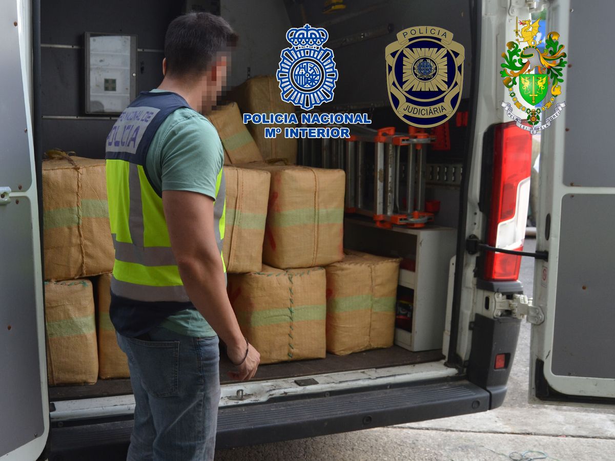 Foto: Policía Nacional en una operación contra el narcotráfico. (EFE/Policía Nacional)