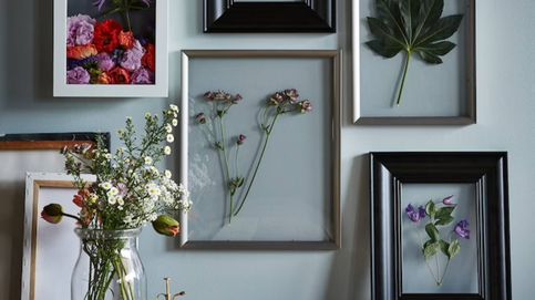 5 maneras fáciles y sencillas de decorar tus paredes con plantas