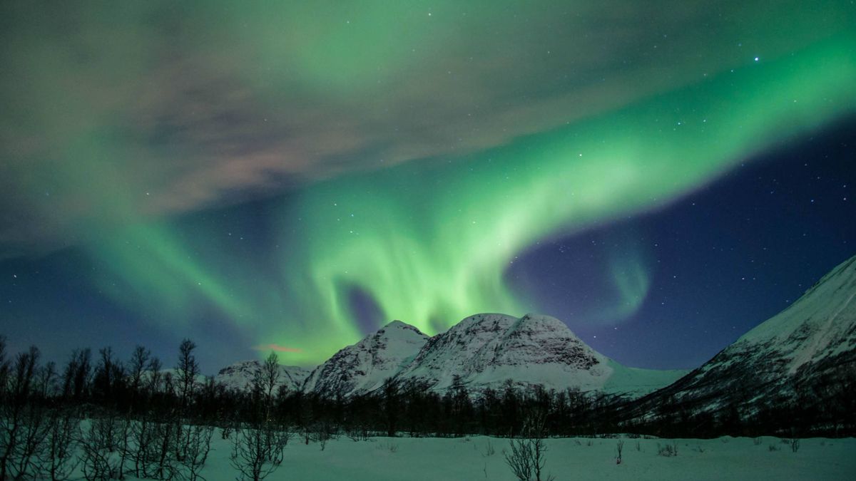 Auroras boreales, avistamiento de ballenas y fiordos, las joyas de Noruega