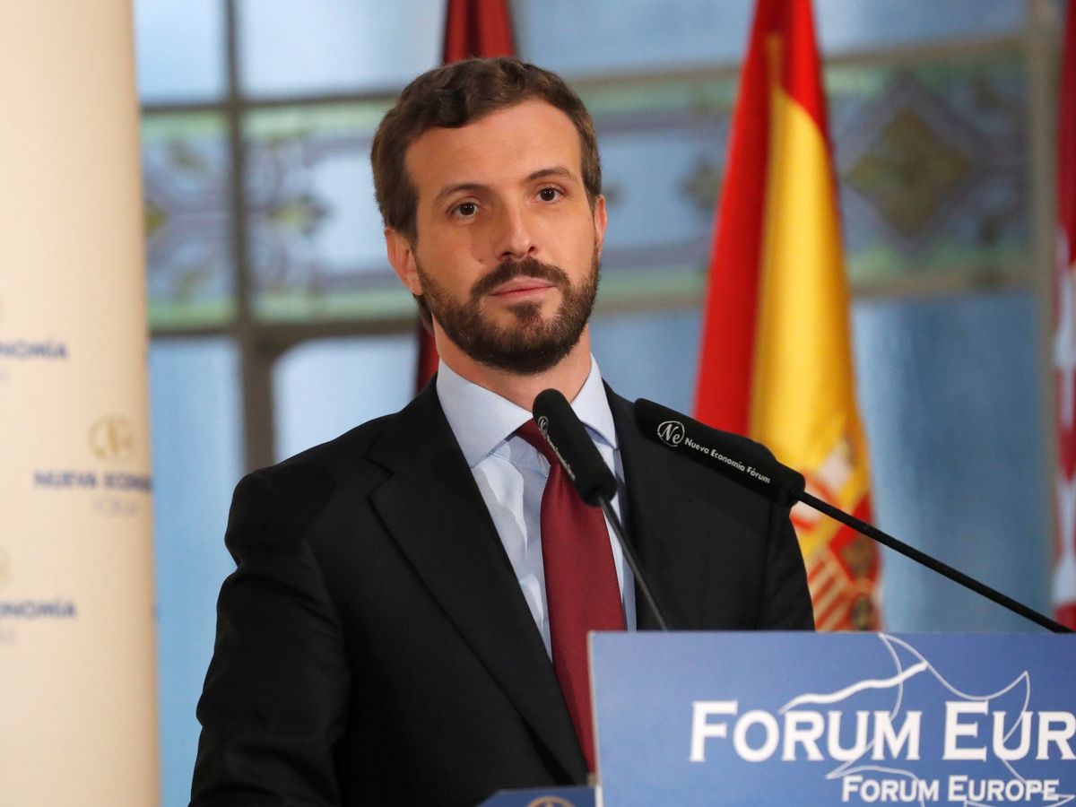 Foto: l presidente del PP y candidato a la Presidencia del Gobierno, Pablo Casado. (EFRE)