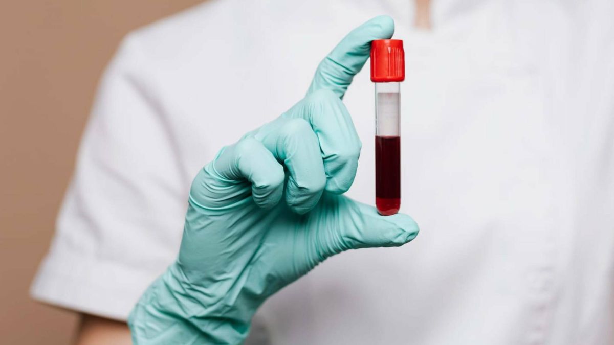Guía rápida para saber interpretar la información de tus análisis de sangre