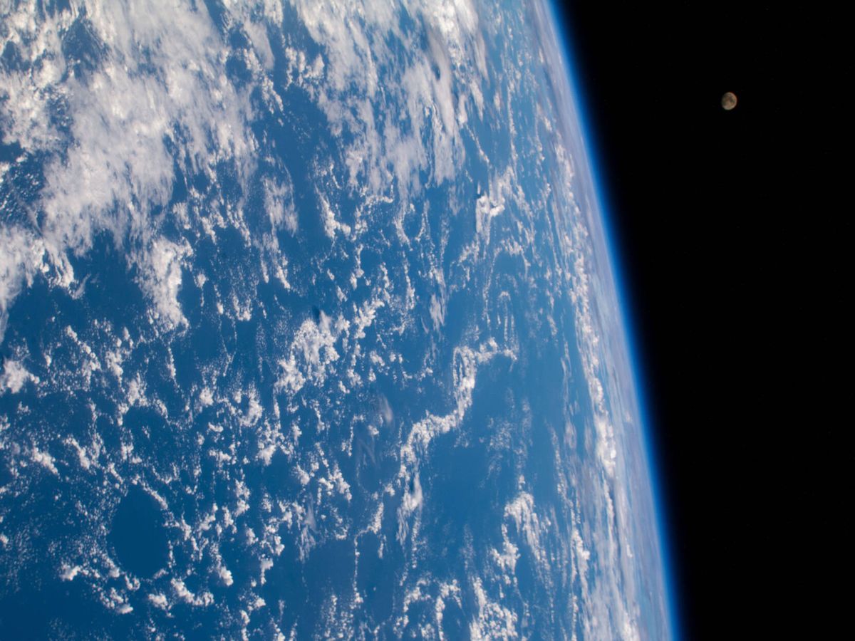 Foto: El albedo es la luz que refleja nuestro planeta, su brillo. Foto: NASA