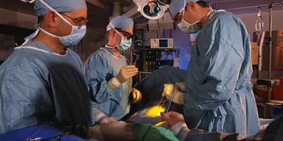 Foto: España superó en 2011 su propio récord de trasplantes de órganos