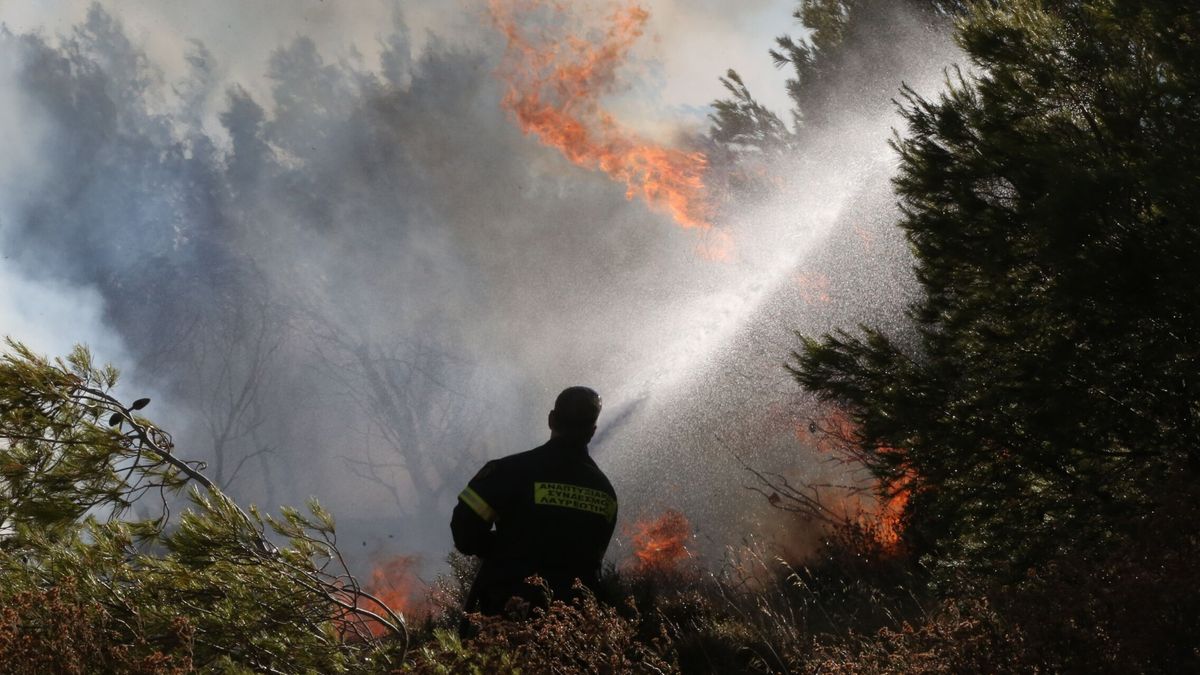 Mueren tres personas a causa de un incendio forestal en el oeste de Turquía