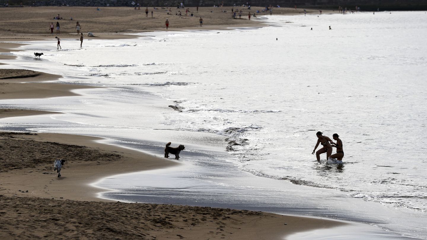 Bañistas en la playa vizcaína de Ereaga, este enero. (EFE/L. Tejido)