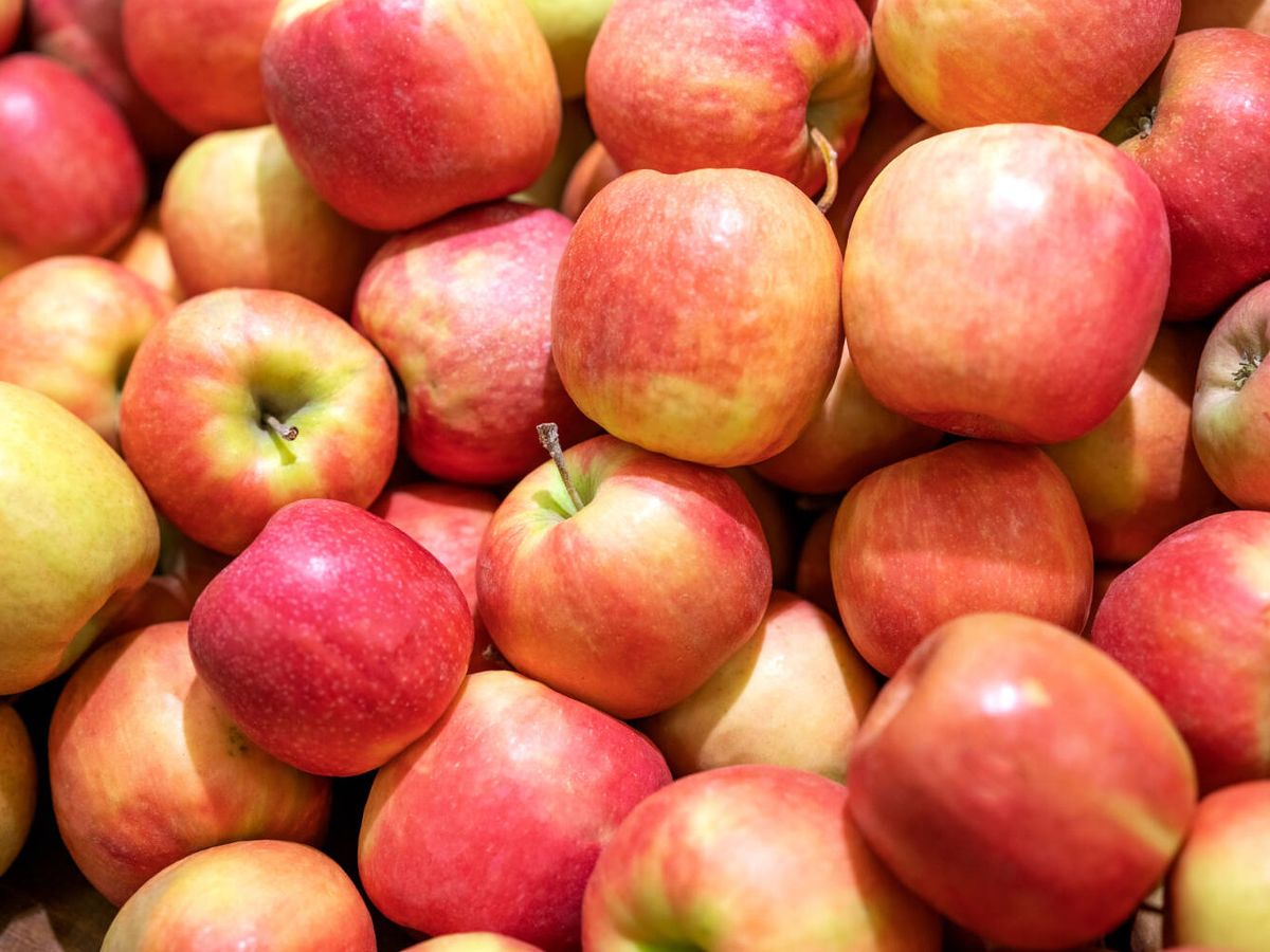 Foto: Las manzanas serán la base para estas tres recetas saludables y sencillas de Instagram. (Freepik)