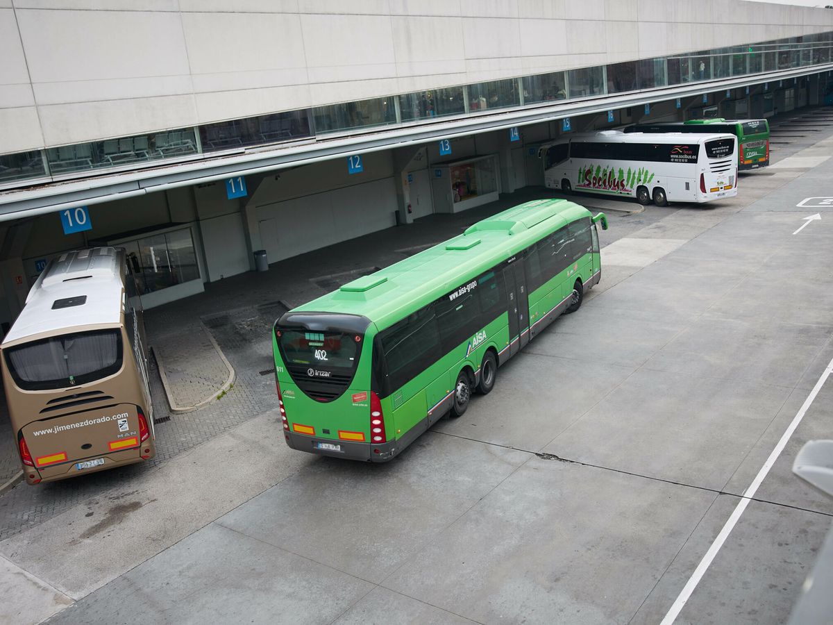 Foto: Vista de varios autobuses. (Europa Press/Jesús Hellín)