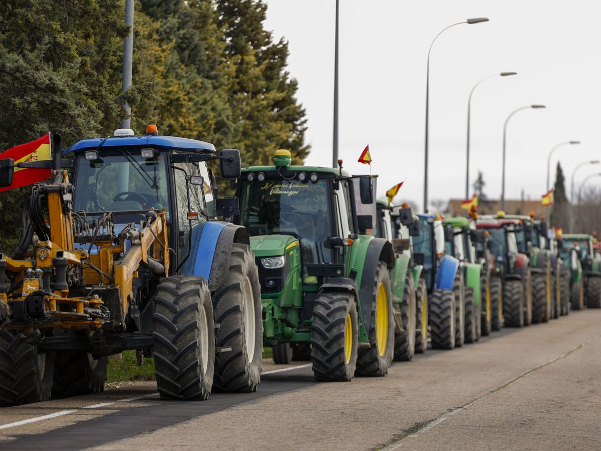 Foto: Varios tractores listos para el inicio de la marcha por la Comunidad de Madrid. (EFE/Javier Lizón)