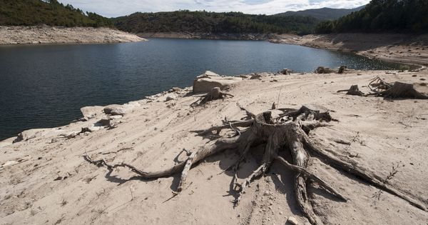 Foto: La ConfederaciÓn Hidrográfica del Miño-Sil decretó esta semana la alerta por sequía (EFE)
