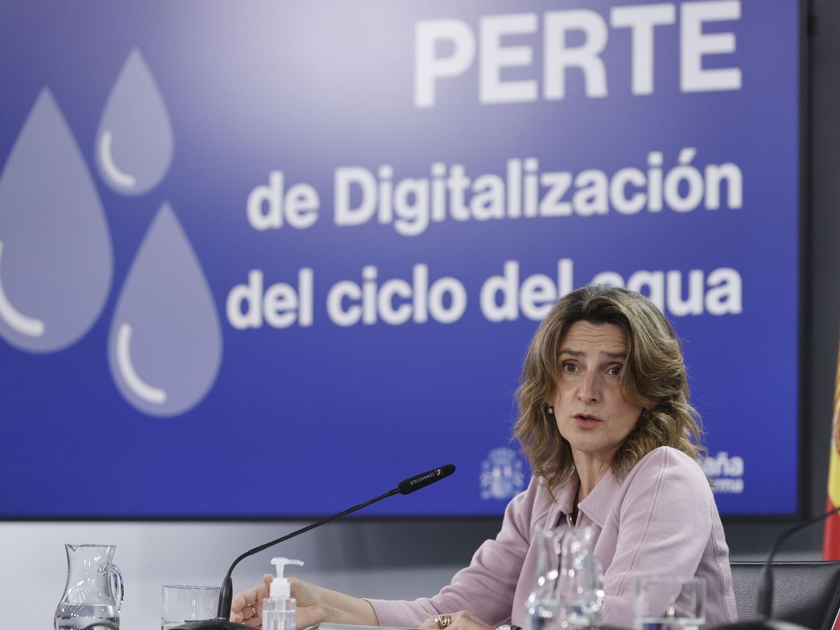 Foto: La ministra Ribera comparece tras la reunión del Consejo de Ministros. (EFE/Emilio Naranjo)
